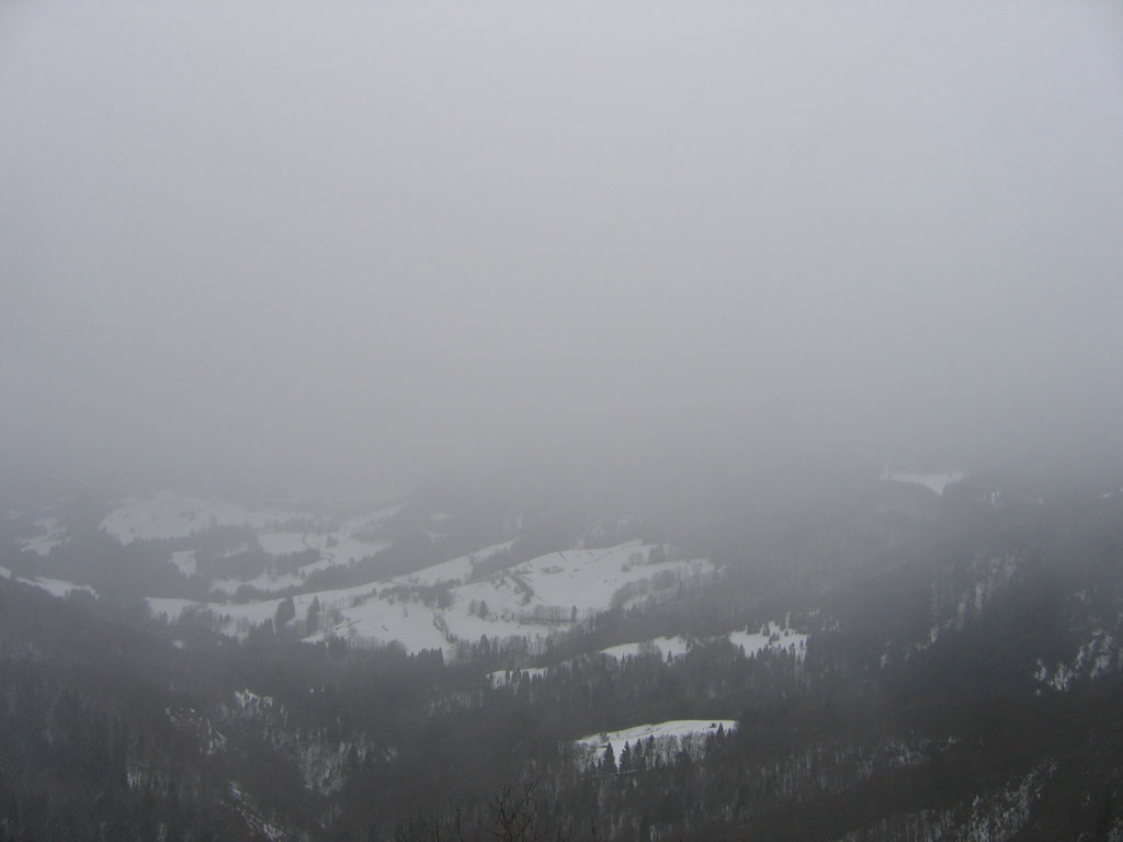 Vue sur la Chartreuse