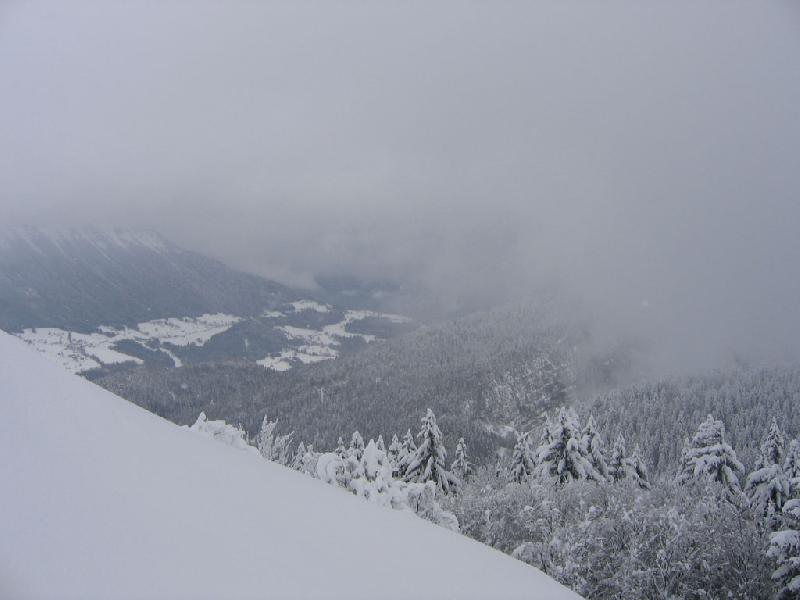 Vue sur la vallée de la Chartreuse