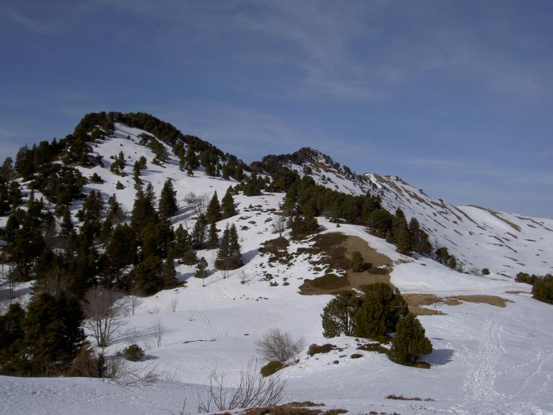Vue sur le Lorzier