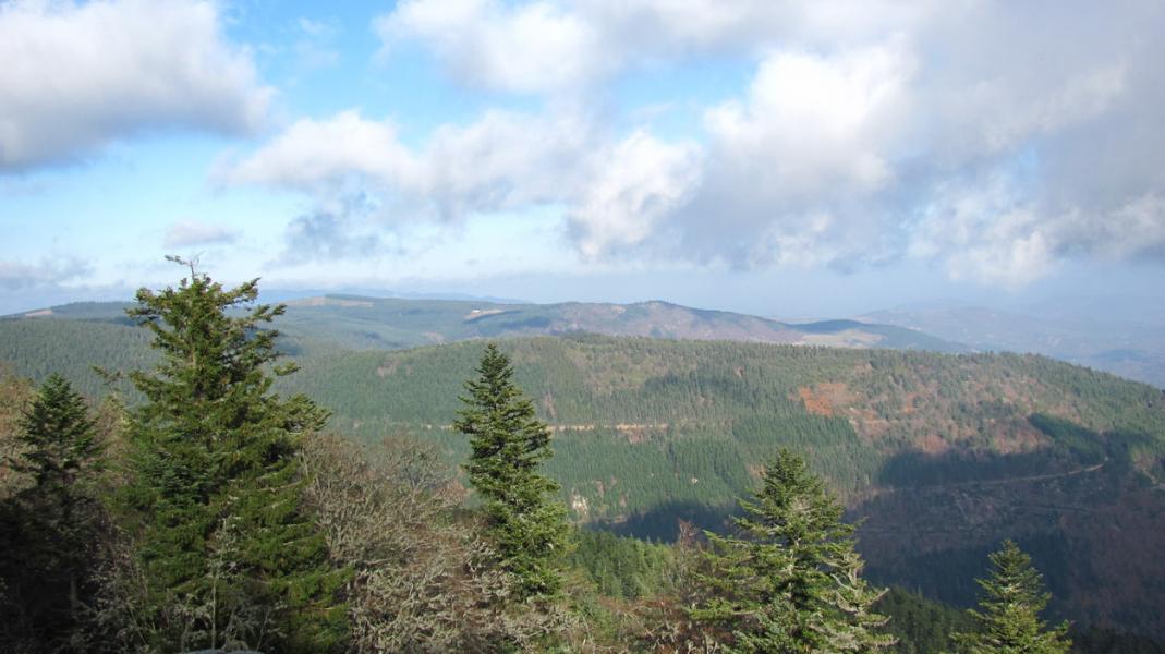 Vue vers le massif du Pilat