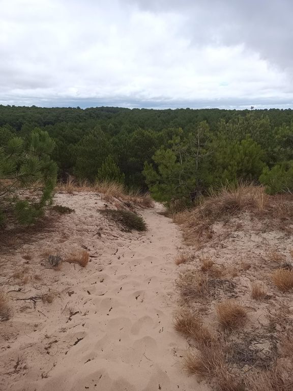 Sortie VTT + baignade à la Plage du Grand Crohot Noir (Cap Ferret) le midi