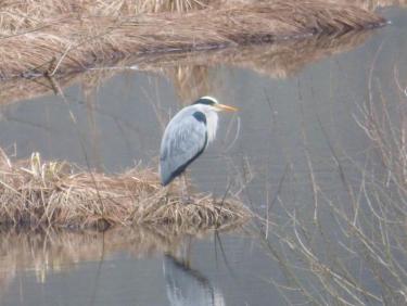 Sortie footing+marche...🙂