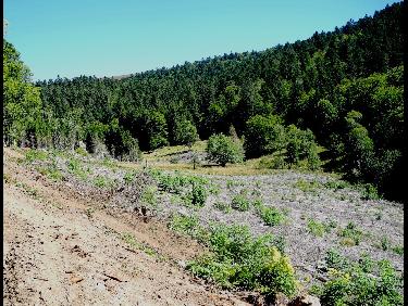 VallÃ©e des Reblats 1