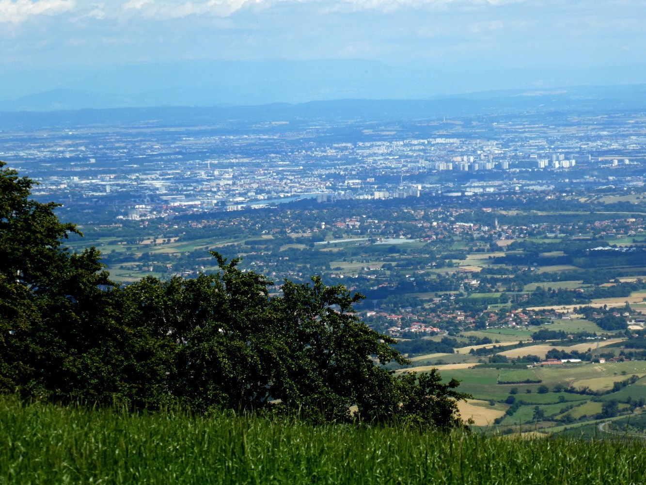 VallÃ©e du RhÃ´ne depuis Barmont (fragment)