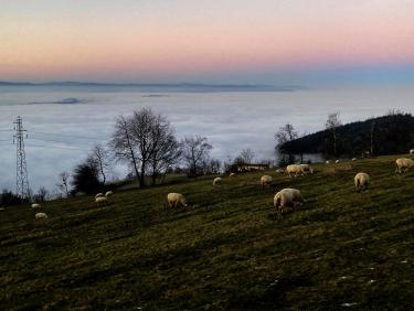 Vallée du Gier et Monts du Lyonnais