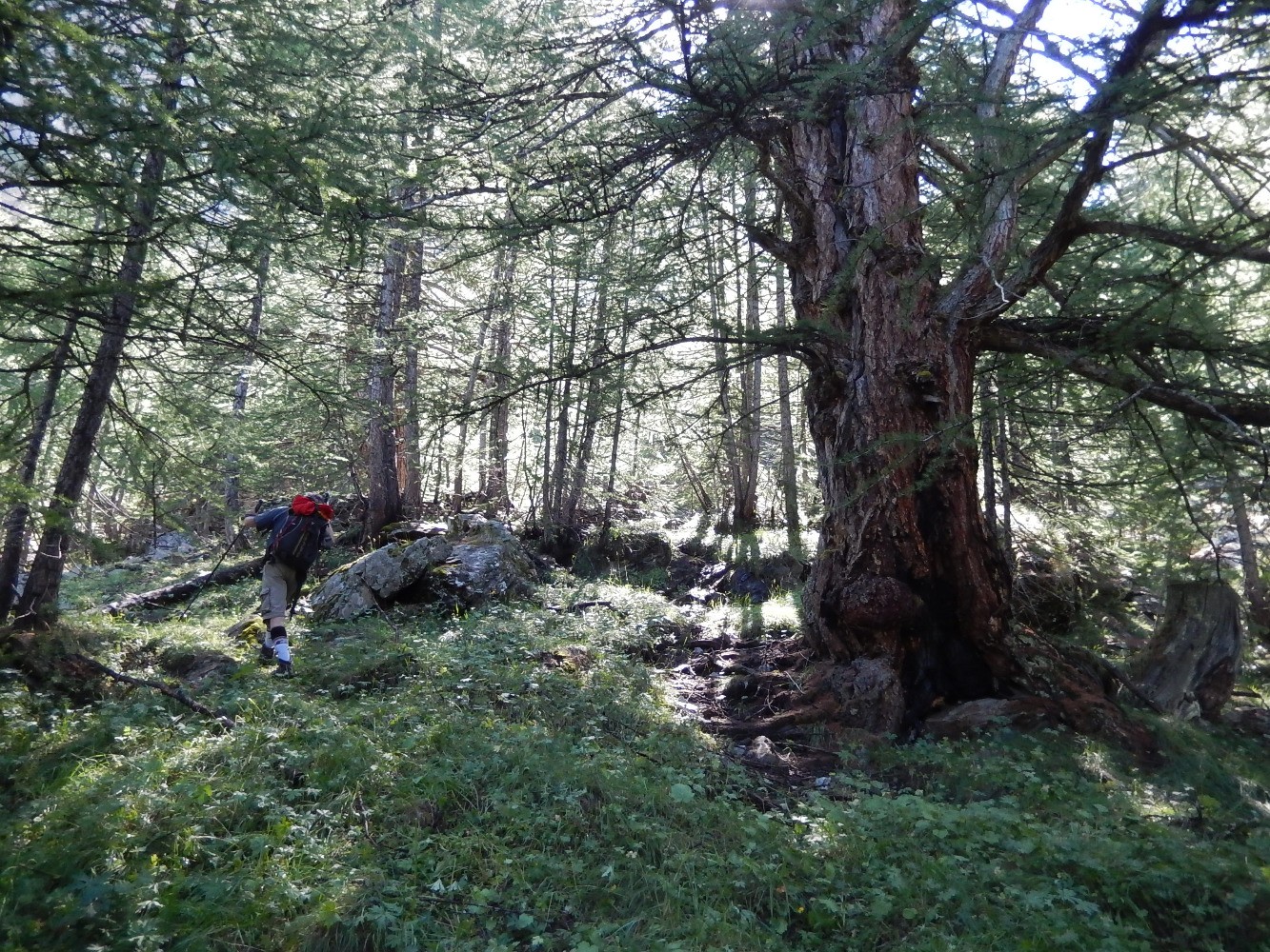 Vallon Cros