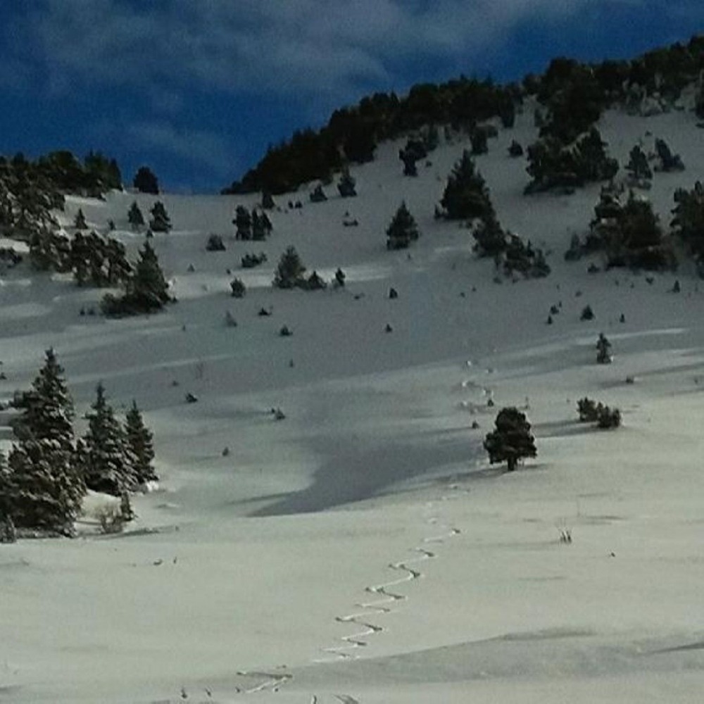Vallon de Marcieu