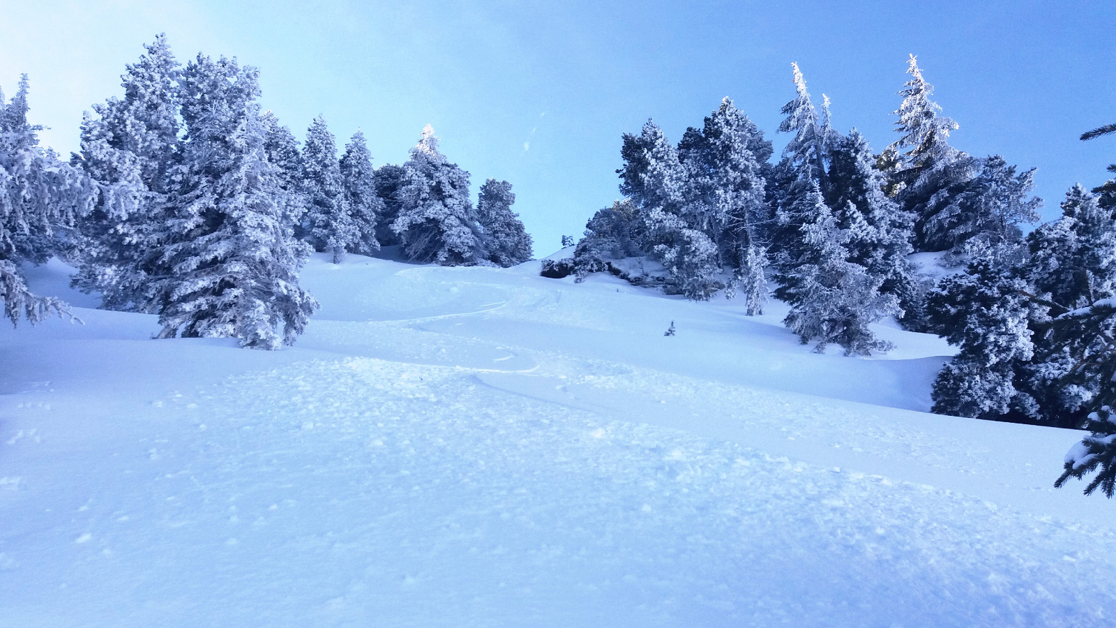 Vallon de Marcieu