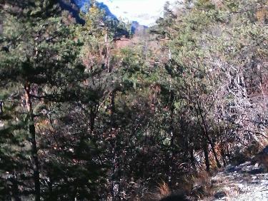 vallon du couleau - depuis son origine