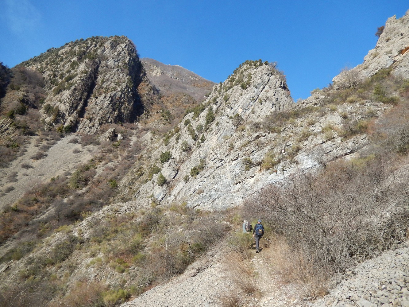 Vallon du torrent de Rouinon, vers 1050 mÃ¨tres