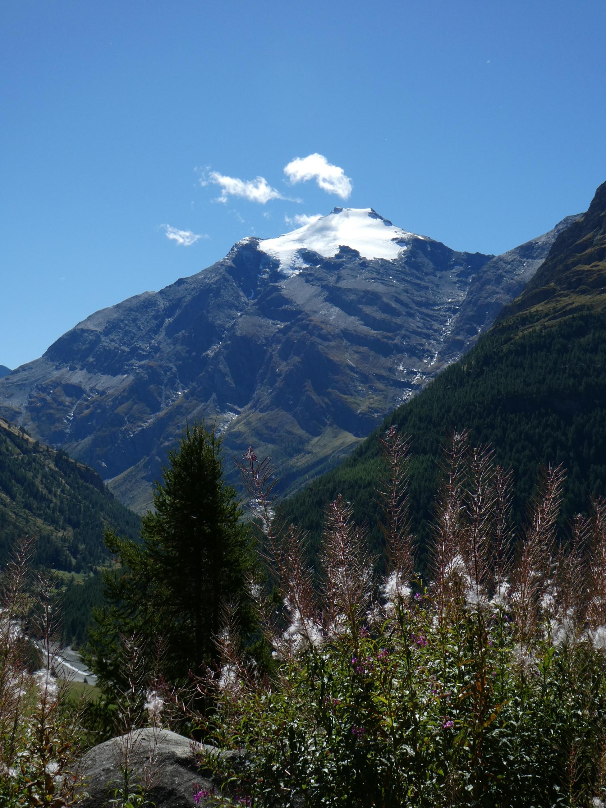Vallon d'en haut, descente "diagonale".