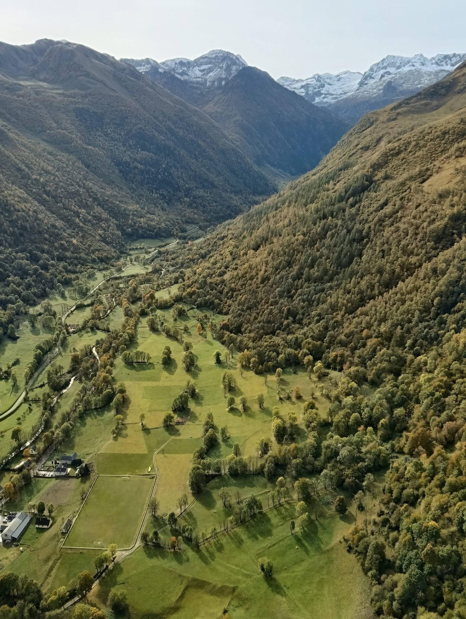 Vallon vert 