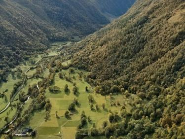 Vallon vert 