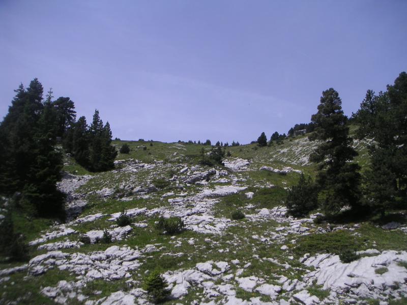 vallon de descente