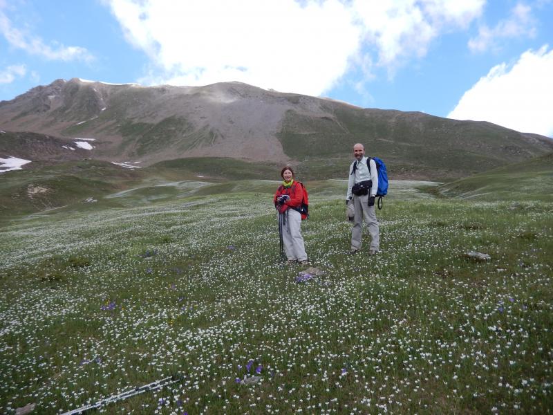 vallon de la Selle