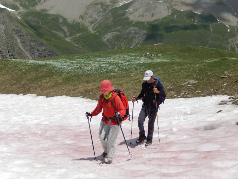 vallon de la Selle