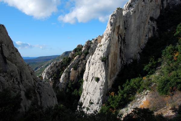 vallon de la Tine