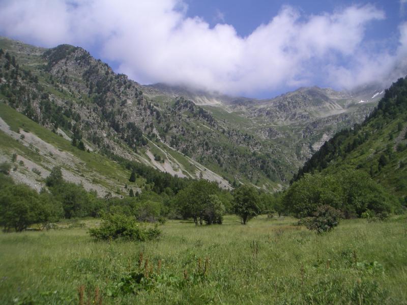 vallon de montée...