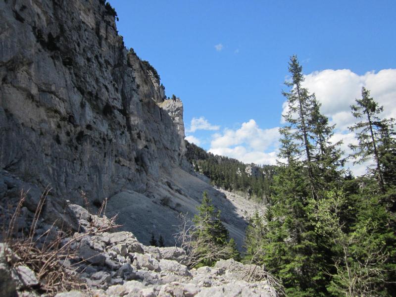 vallon des Forges