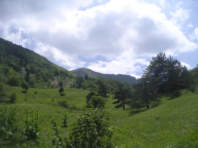 vallon des Pâtres