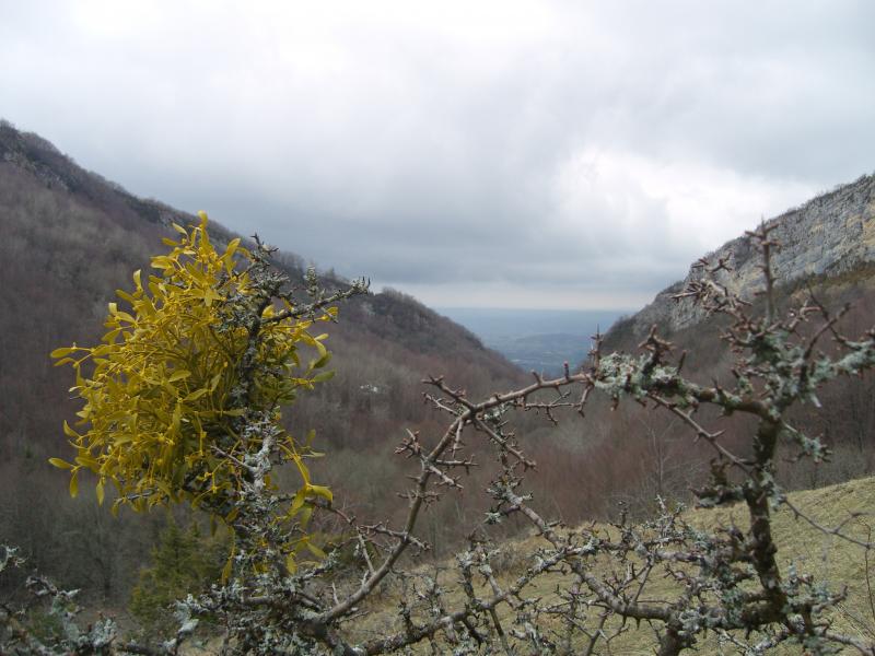 vallon du moulin des godarts