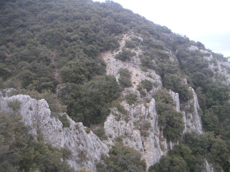 vallon rocheux