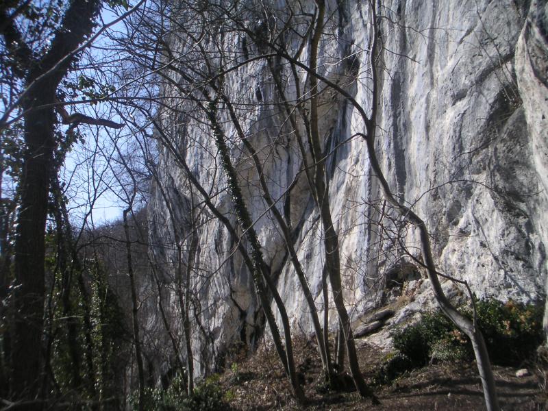 variante des Ferrières