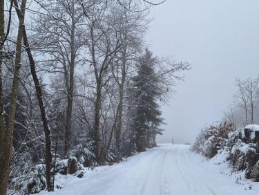 Sortie à la pharmacie