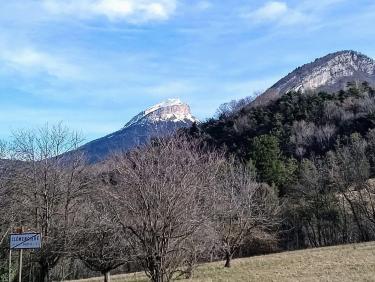 Du vélo avec un champion 