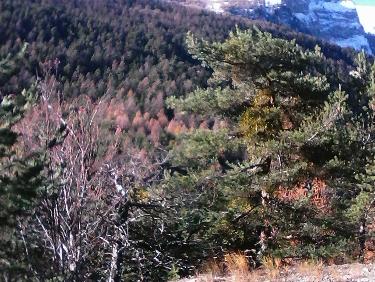 vers l&apos;alpet et coste noundy