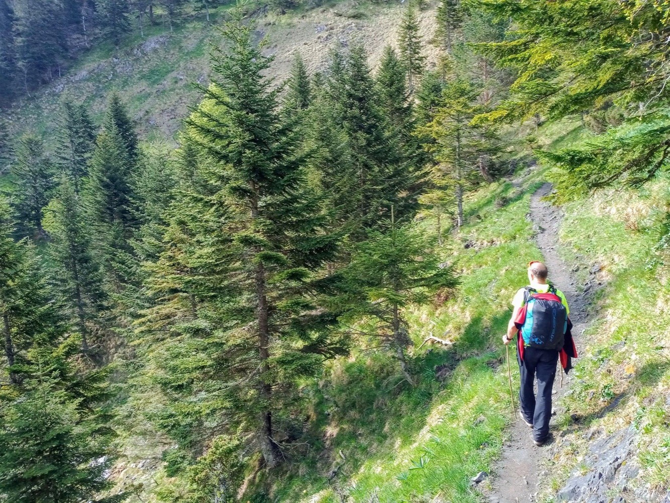 un beau sentier