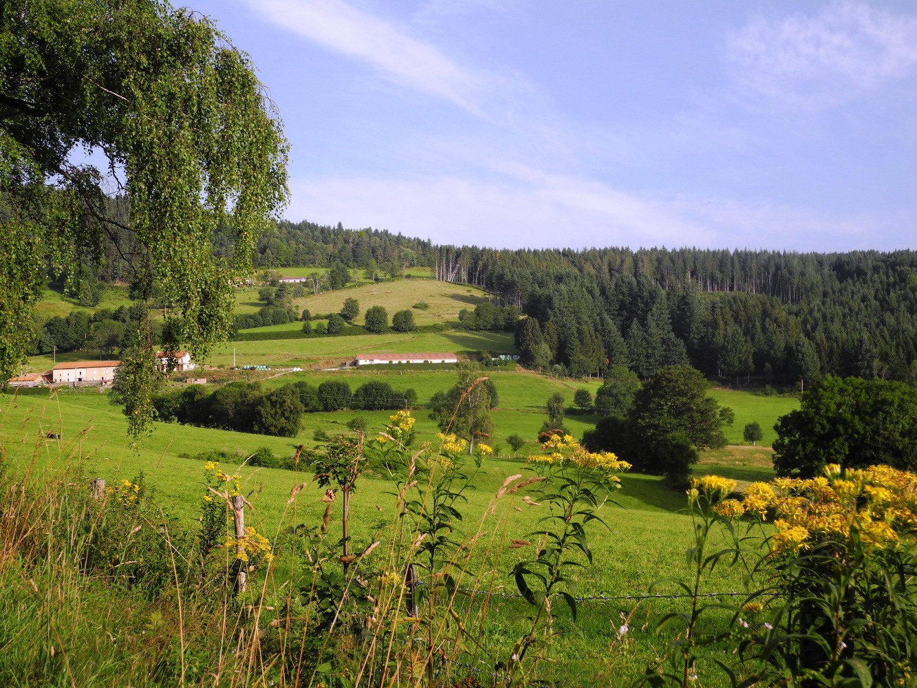 Vers l'Olme Nord