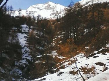 vers la tÃªte de vautisse