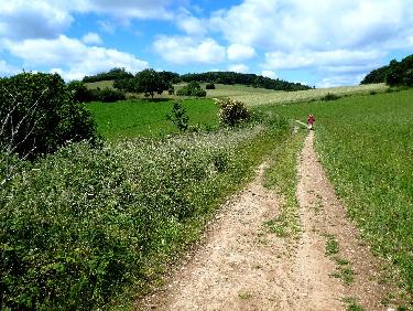 Vers le CrÃªt des Courtines