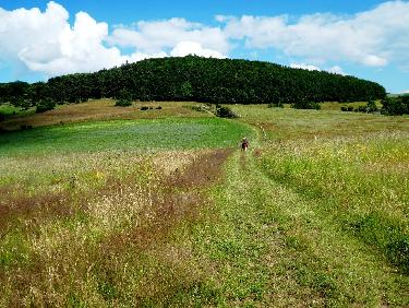 Vers le CrÃªt des Fayes