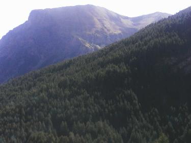 vers le pelve-la tÃªte de soleil boeuf et la tÃªte de l&apos;hivernet