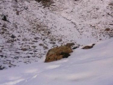 vers le pic de pied-brun et l&apos;itinÃ©raire de montÃ©e Ã  la cabane de reyssas au printemps