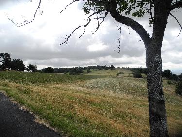 Vers le site de Joanabel