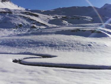 vers les laquais : la t^te de chante-perdrix pointe au fond