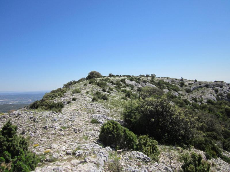 vers Oppède le Vieux
