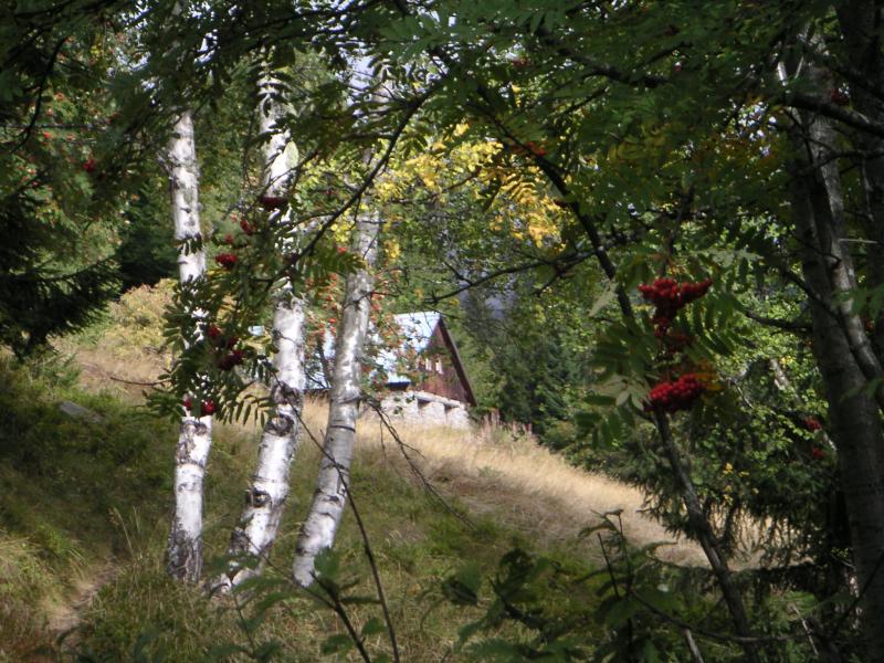 vers Roche Blanche