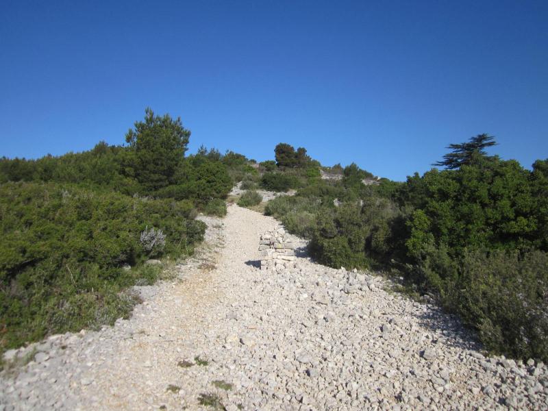 vers crête de l'Estret