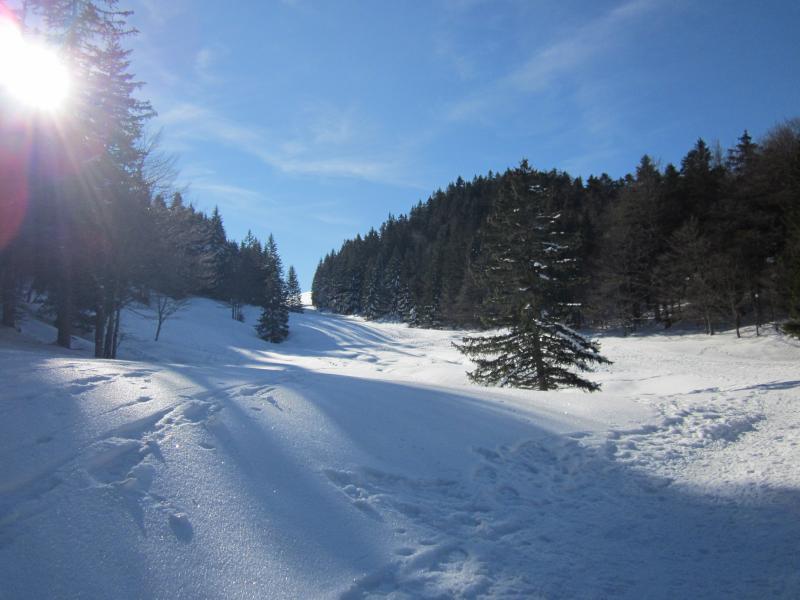 vers l'Aliénard