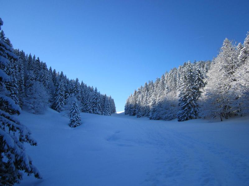 vers l'Aliénard