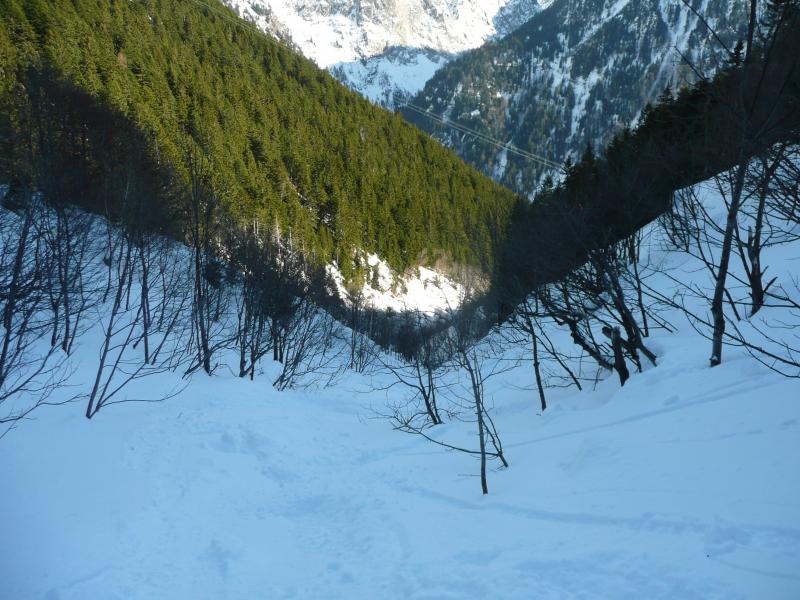 vers l'aval du vallon avec le Rivier tout au fond