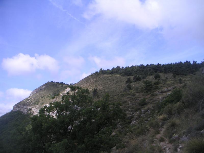 vers la Longeagne