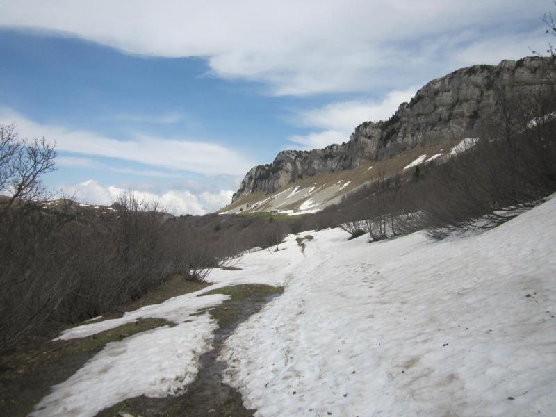 vers la cabane