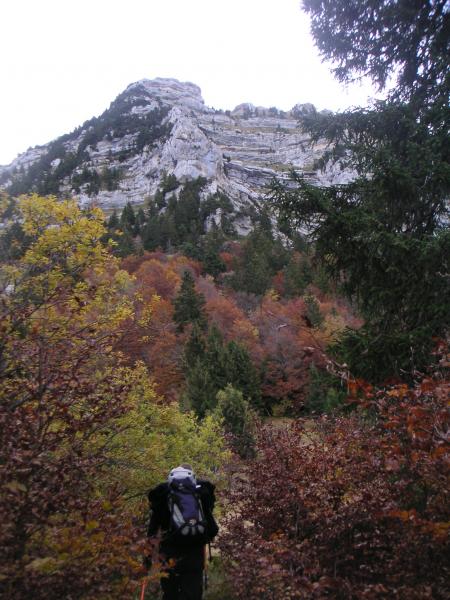 vers la falaise