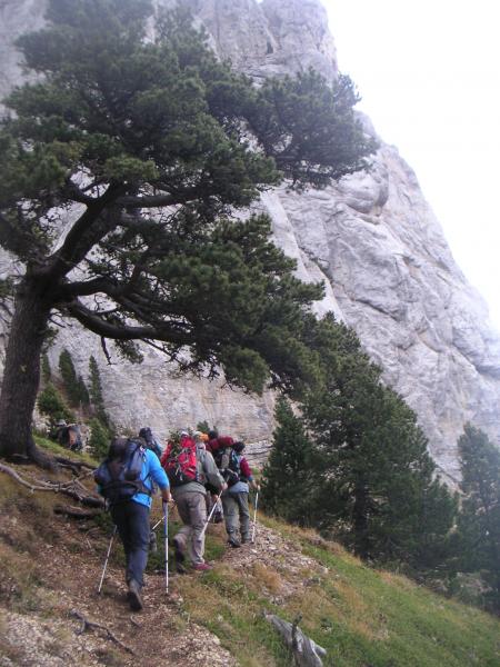 vers la falaise