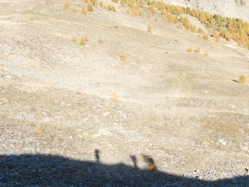 vers le Col du Brunel